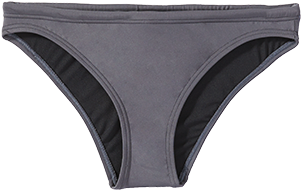 Gray Bikini Bottoms Isolated