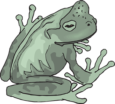 Gray Camouflaged Frog Illustration