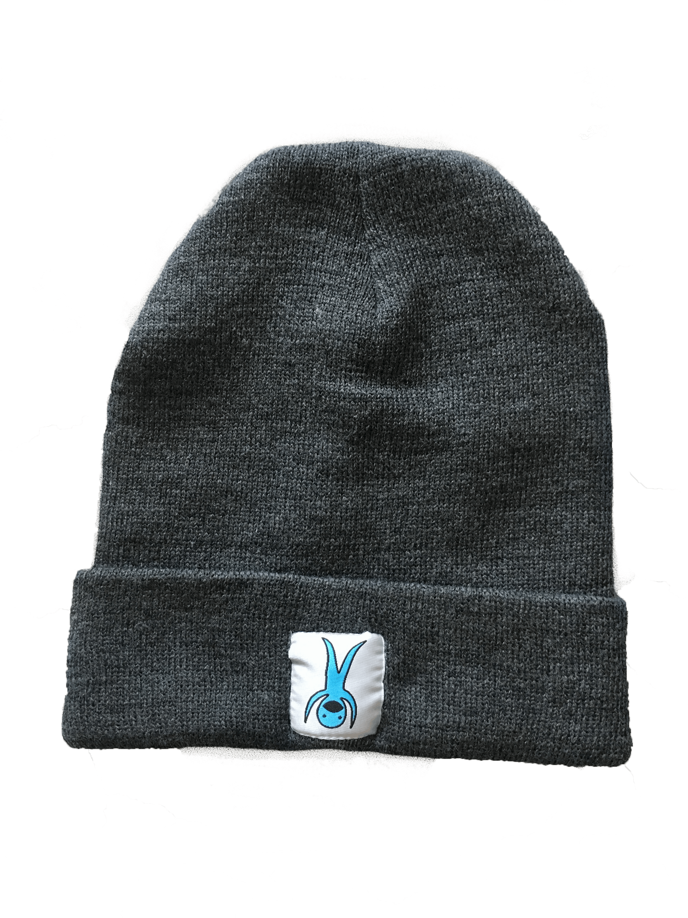 Gray Knit Beaniewith Logo Patch