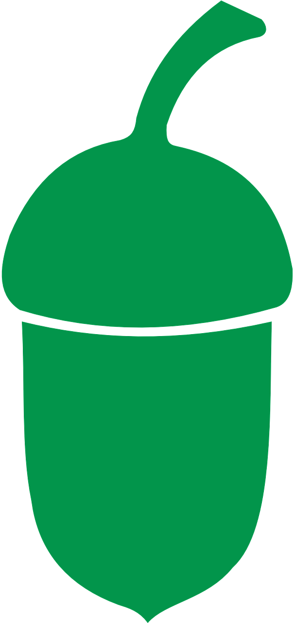 Green Acorn Icon