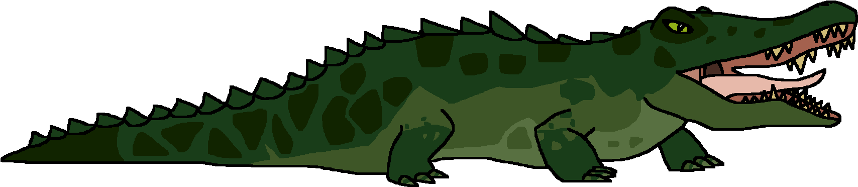 Green Alligator Illustration