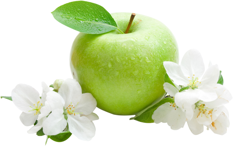 Green Apple With Blossoms