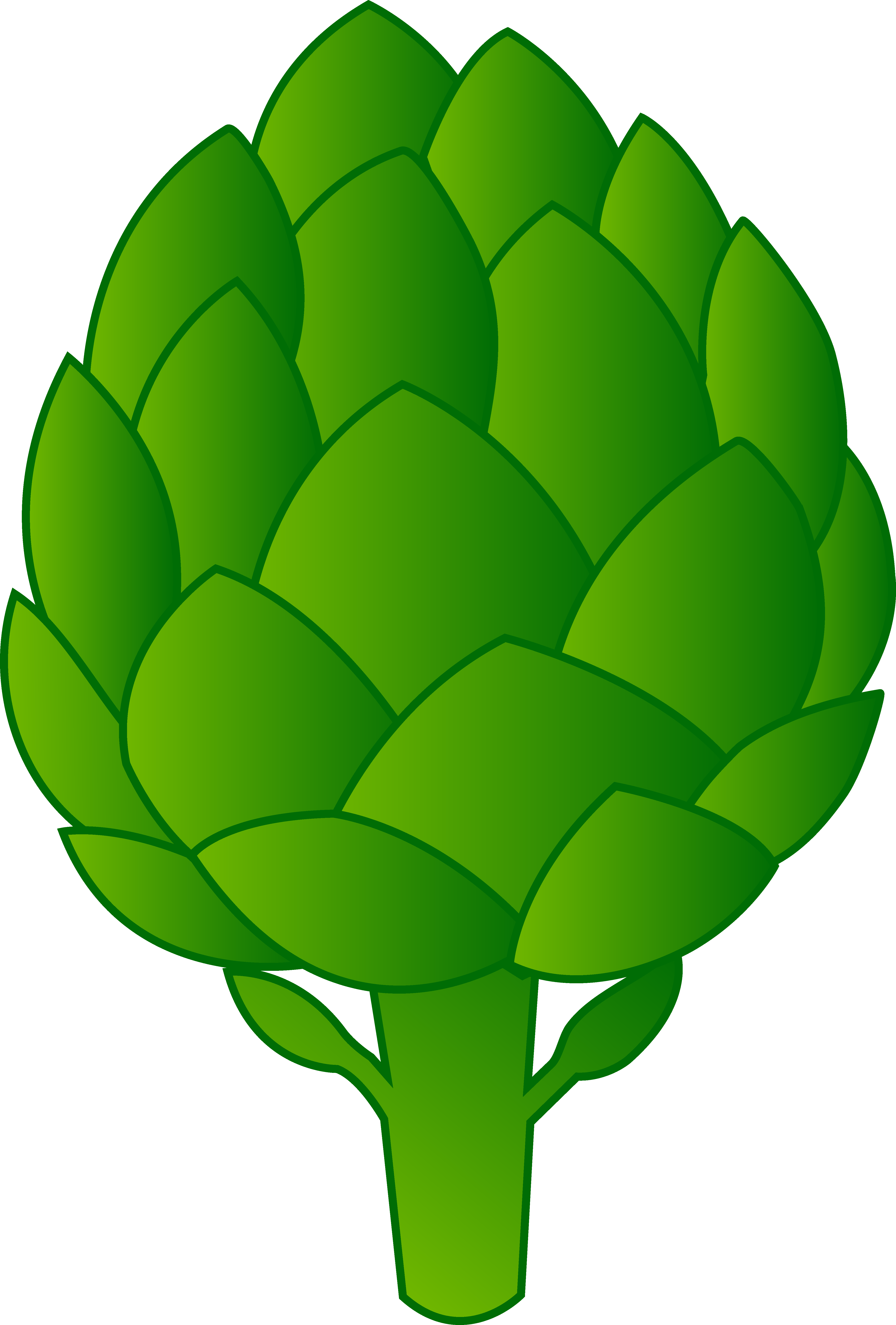 Green Artichoke Vector Illustration