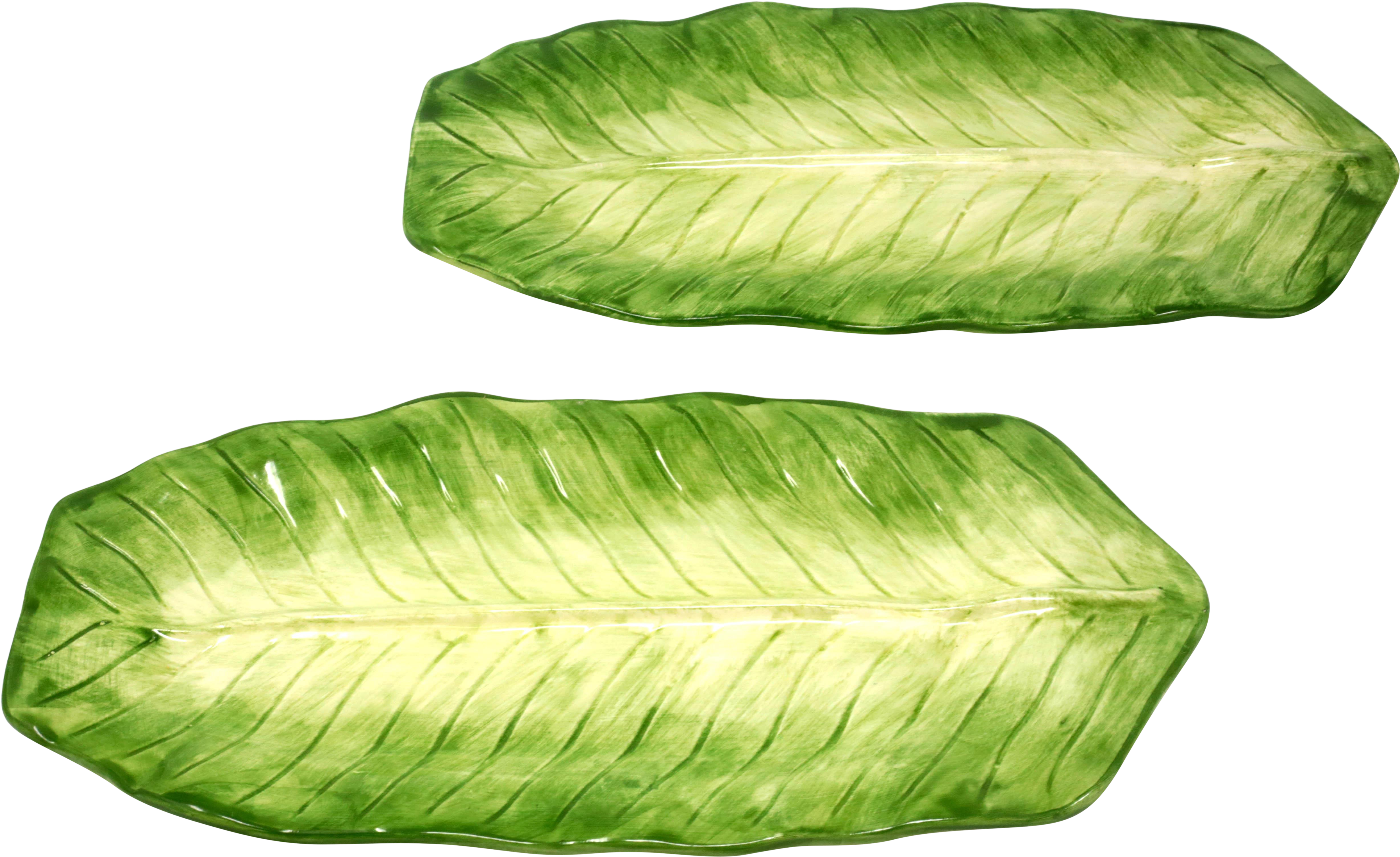 Green Banana Leaves Isolated