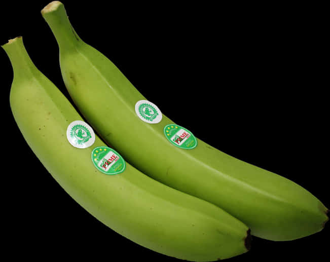 Green Bananas Black Background