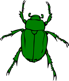 Green Beetle Illustration