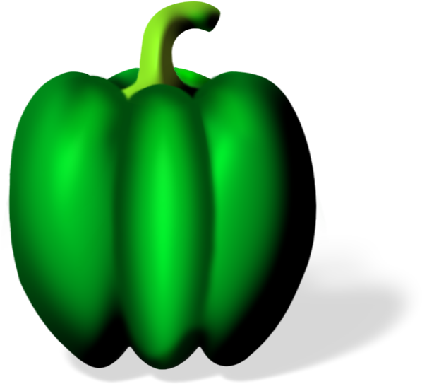 Green Bell Pepper Illustration