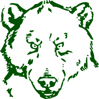 Green Black Bear Graphic