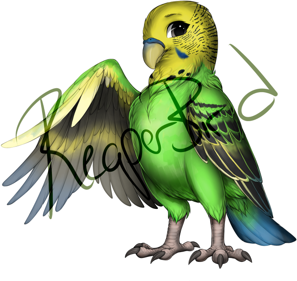Green Budgie Spreading Wings