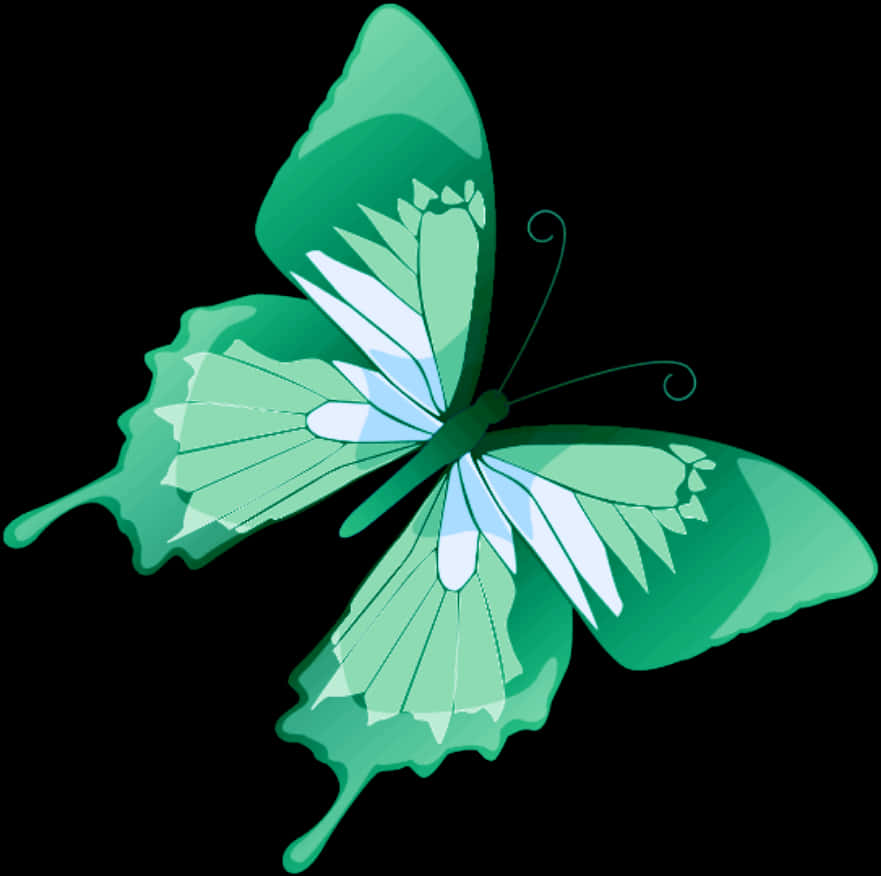 Green Butterfly Illustration