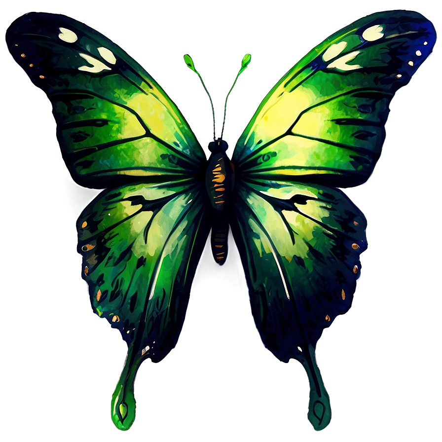 Green Butterfly In Watercolor Splash Png Tqt61