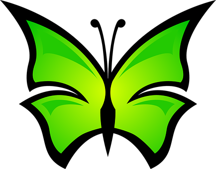 Green Butterfly Logo Design