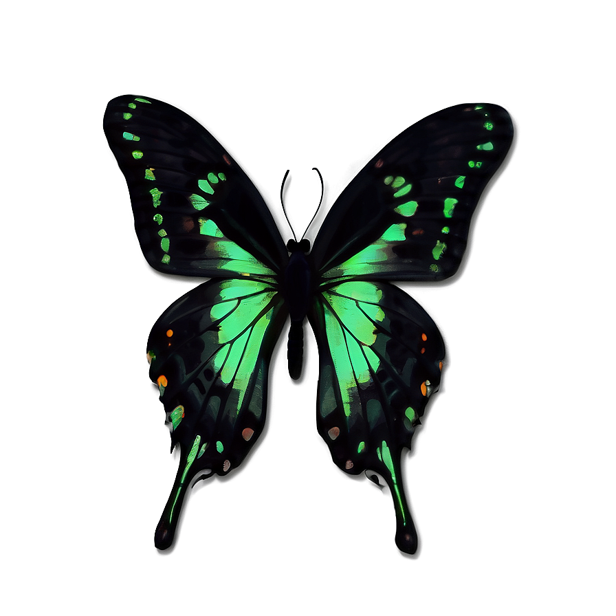 Green Butterfly On Black Background Png Osy