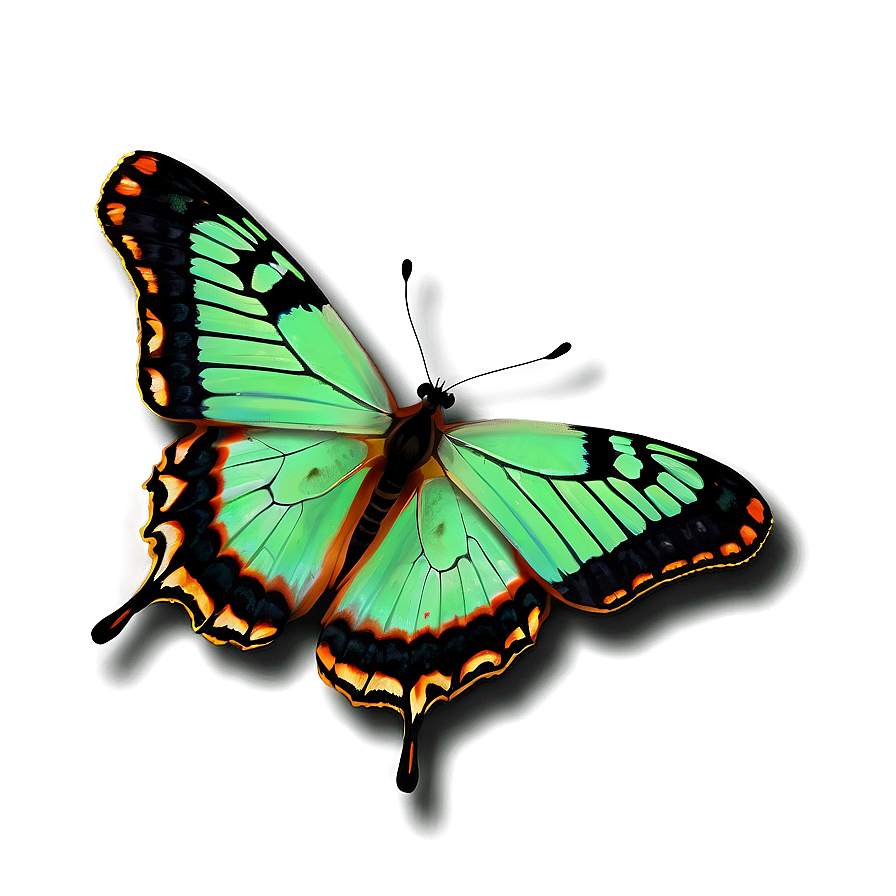 Green Butterfly On White Background Png Fjb