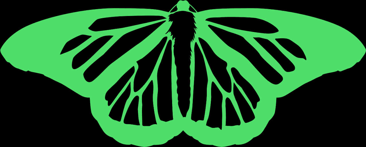 Green Butterfly Silhouette