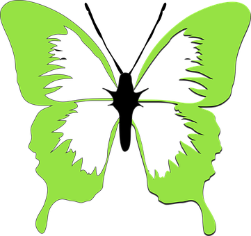 Green Butterfly Silhouette Faces