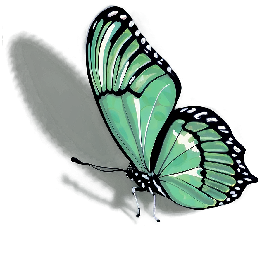 Green Butterfly With Shadow Png 06202024