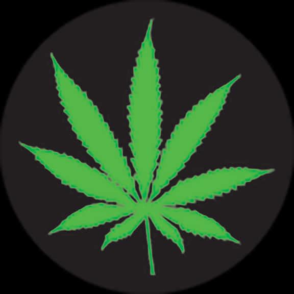Green Cannabis Leaf Black Background