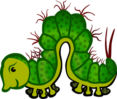 Green Cartoon Caterpillar