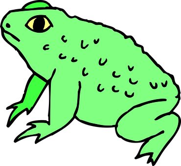 Green Cartoon Frog Illustration