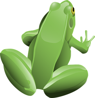 Green Cartoon Frog Illustration