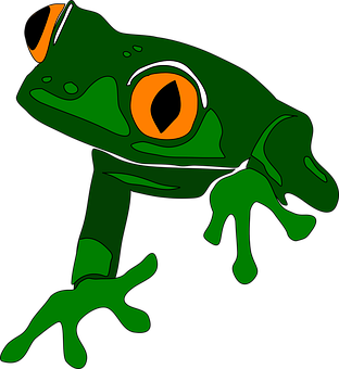 Green Cartoon Frog Illustration