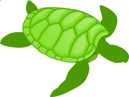 Green Cartoon Turtle Illustration