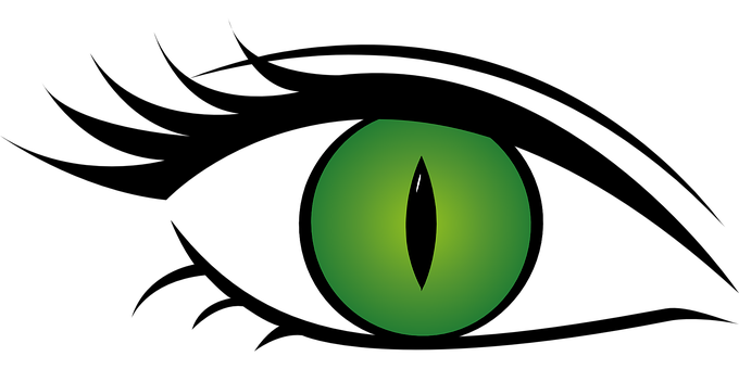 Green Cat Eye Illustration