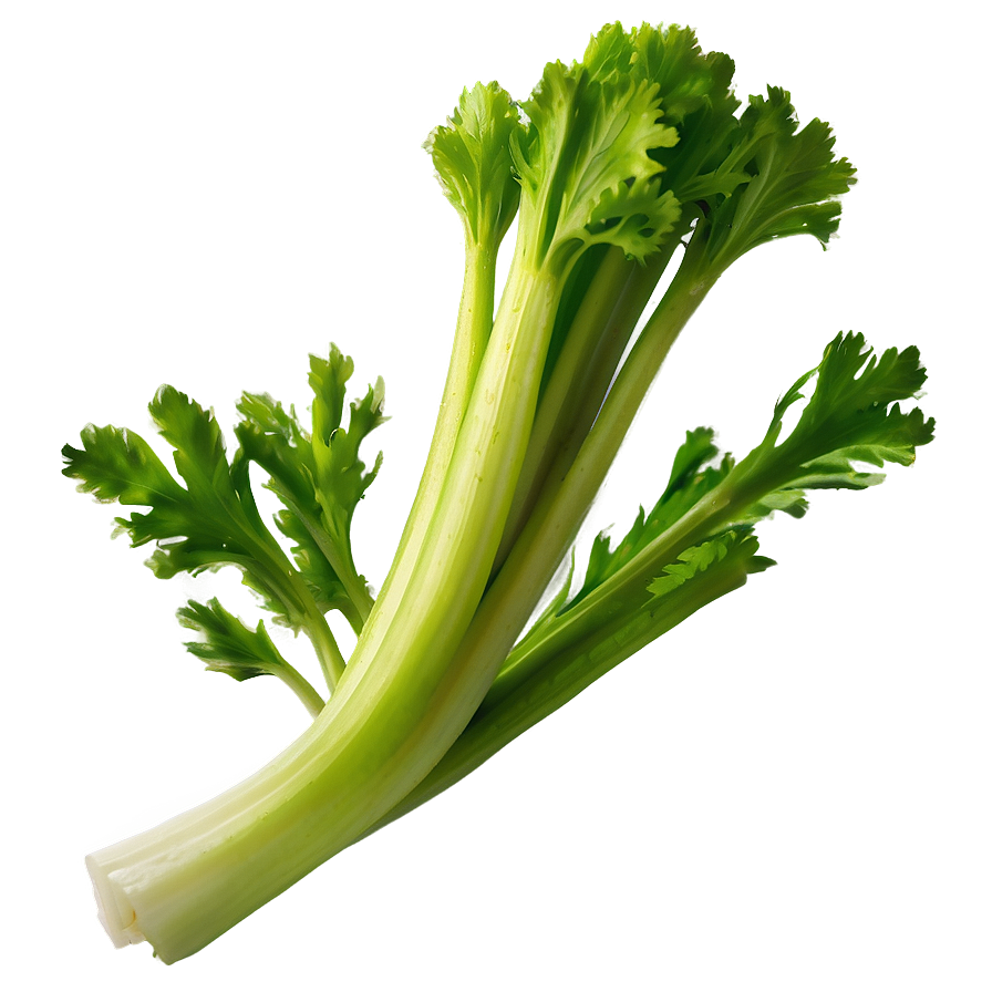 Green Celery Png 06252024