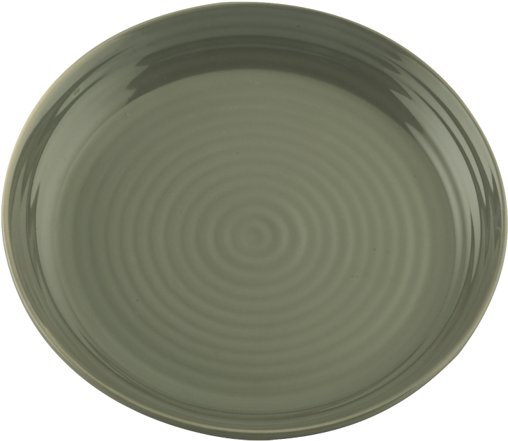 Green Ceramic Dinner Plate