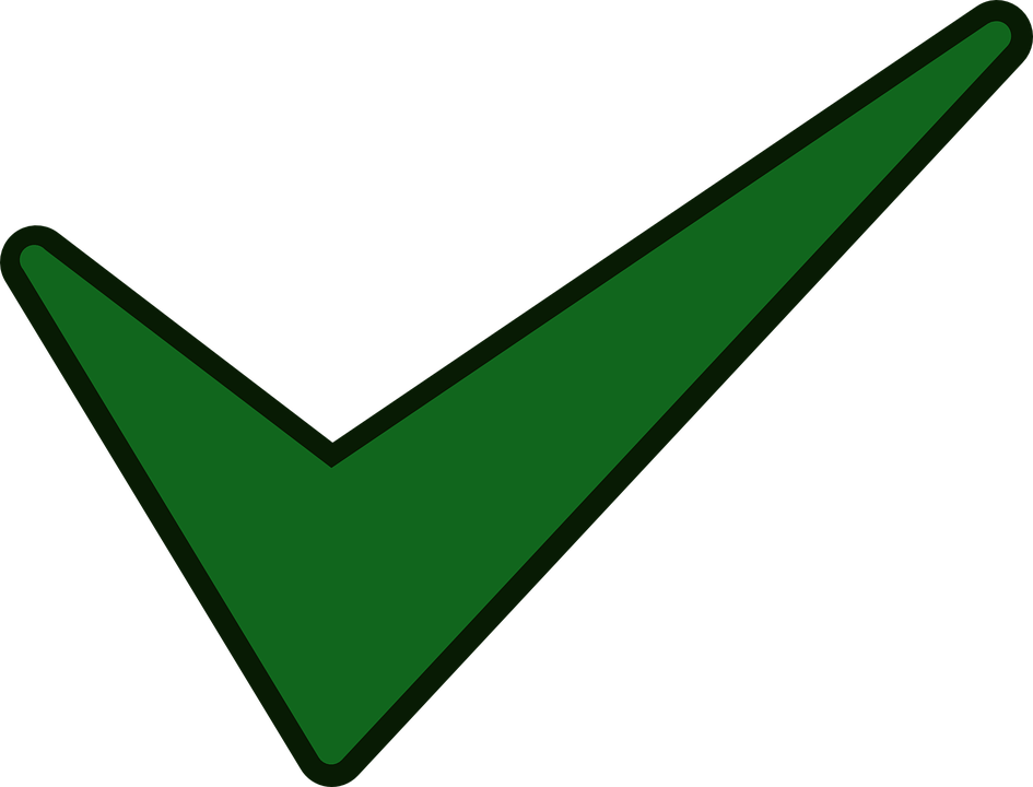 Green Checkmark Graphic