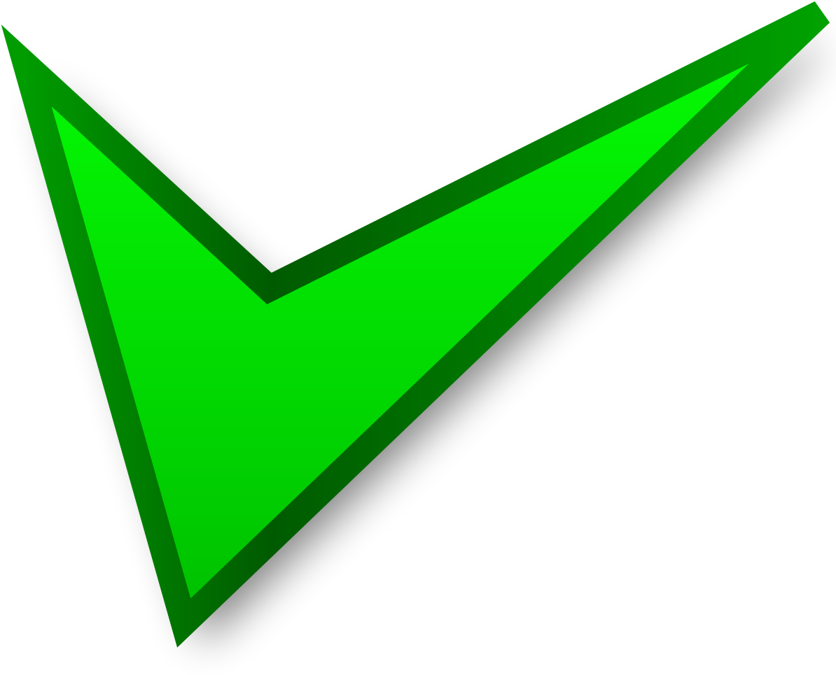 Green Checkmark Graphic