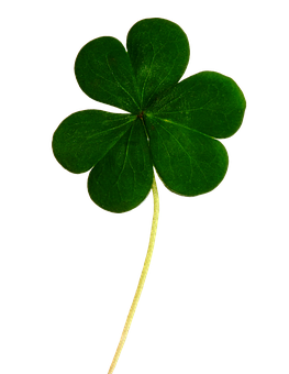 Green Clover Black Background