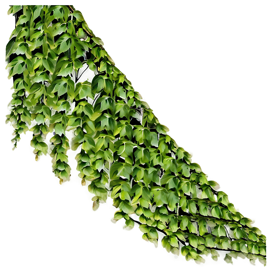 Green Creeper Texture Png Piy