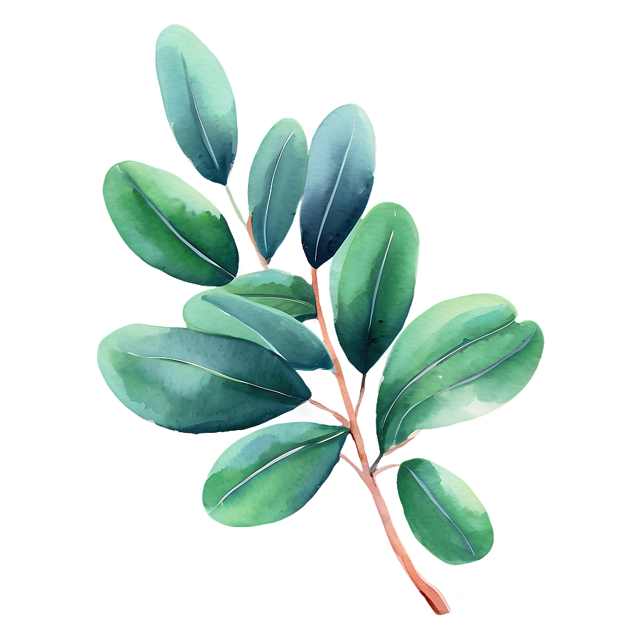 Green Eucalyptus Watercolor Illustration Png 06272024