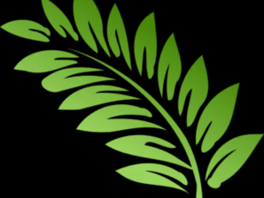 Green Fern Leaf Graphic