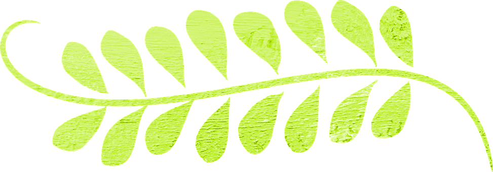 Green Fern Leaf Graphic