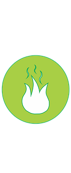 Green Flame Icon