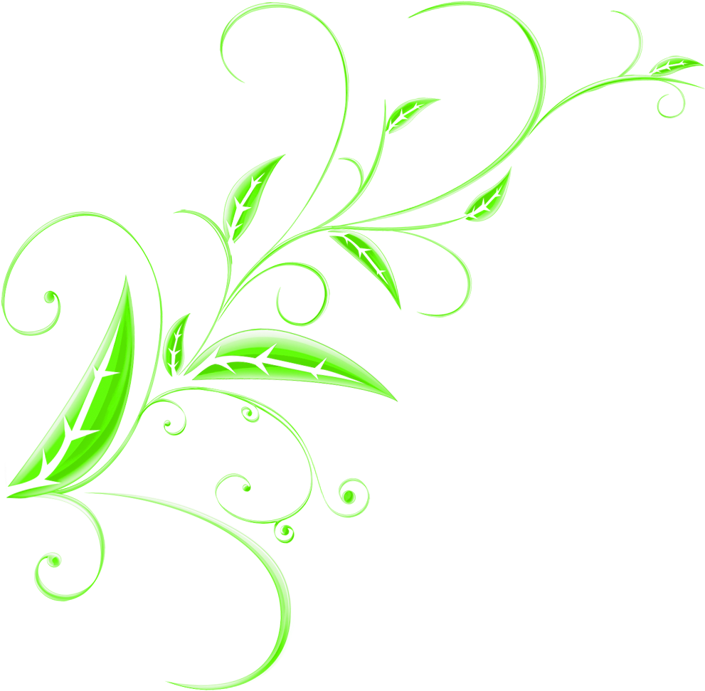 Green Floral Design Element.png