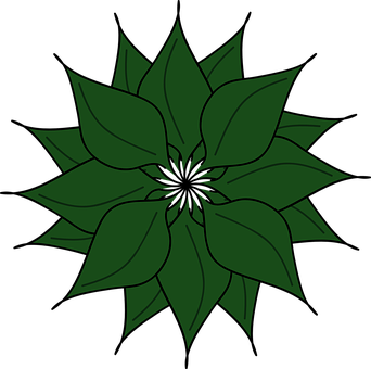 Green Floral Graphic Illustration