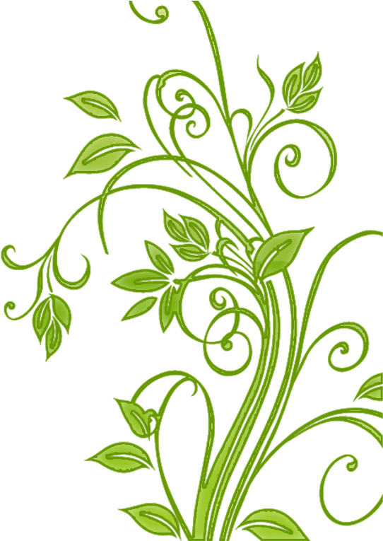 Green Floral Vector Art