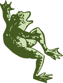 Green Frog Illustration