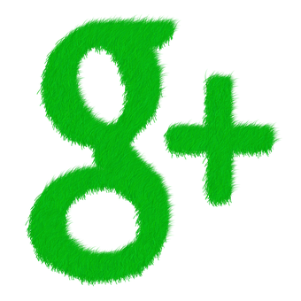 Green Fuzzy Google Plus Logo