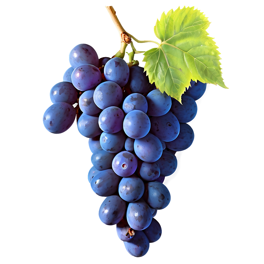 Green Grape Png 05212024