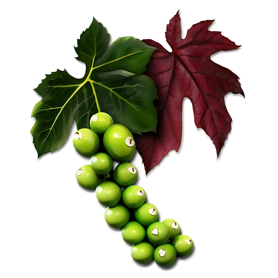 Green Grapes With Leaves