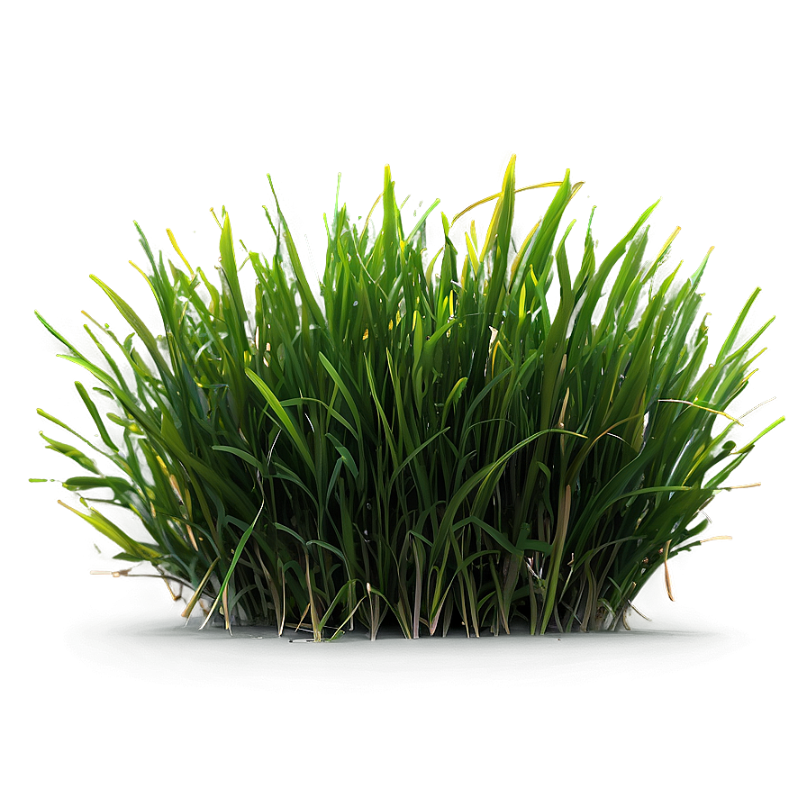 Green Grass And Sunshine Png 62