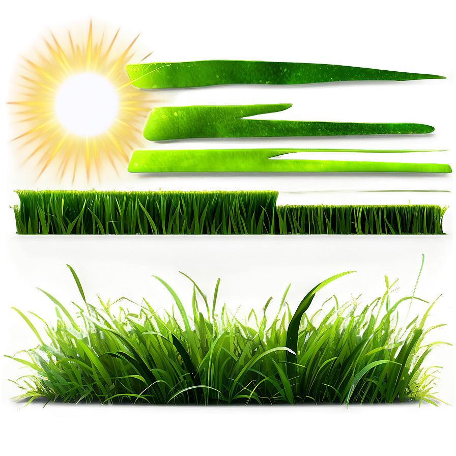 Green Grass And Sunshine Png Gsr