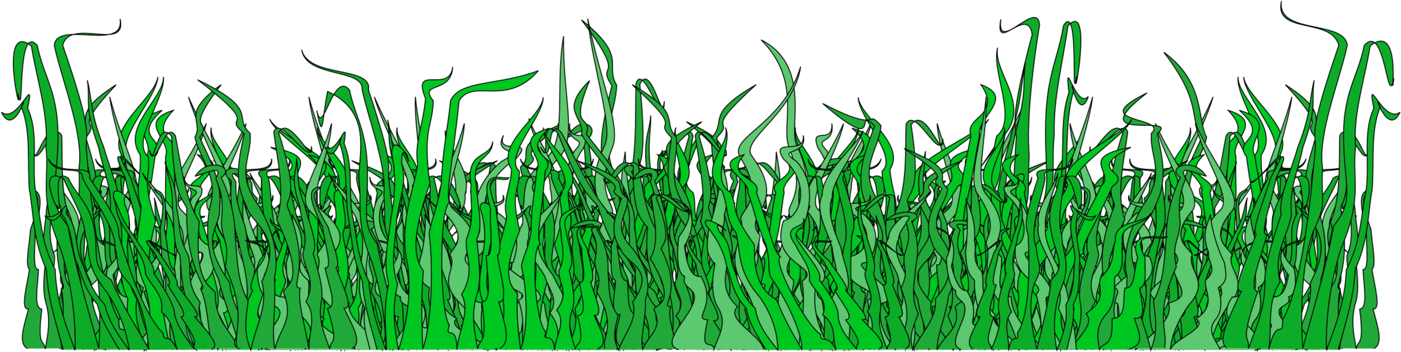 Green Grass Border Graphic
