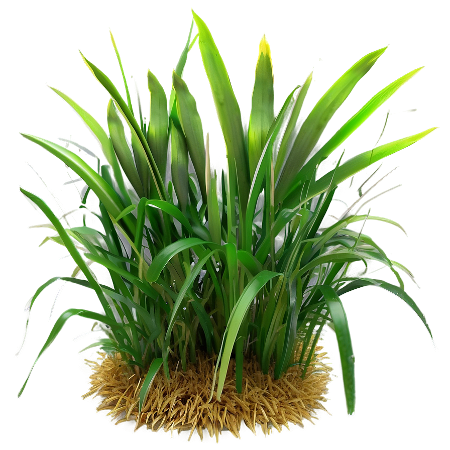 Green Grass Field Png Oub27