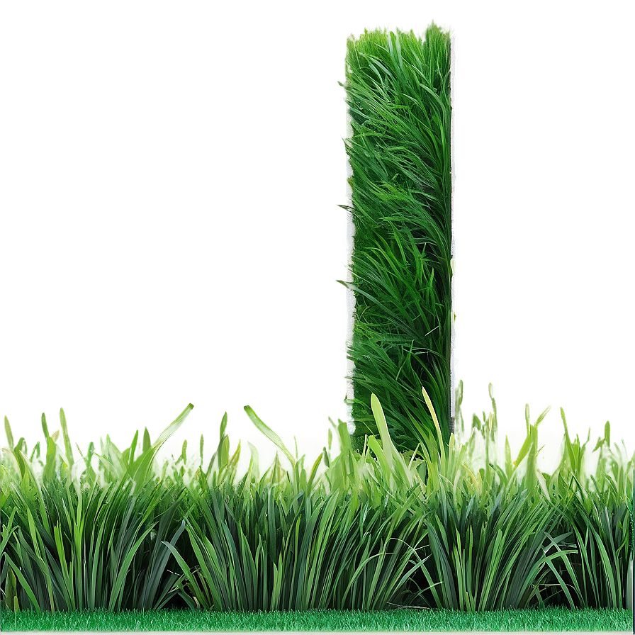 Green Grass For Landscaping Png 65